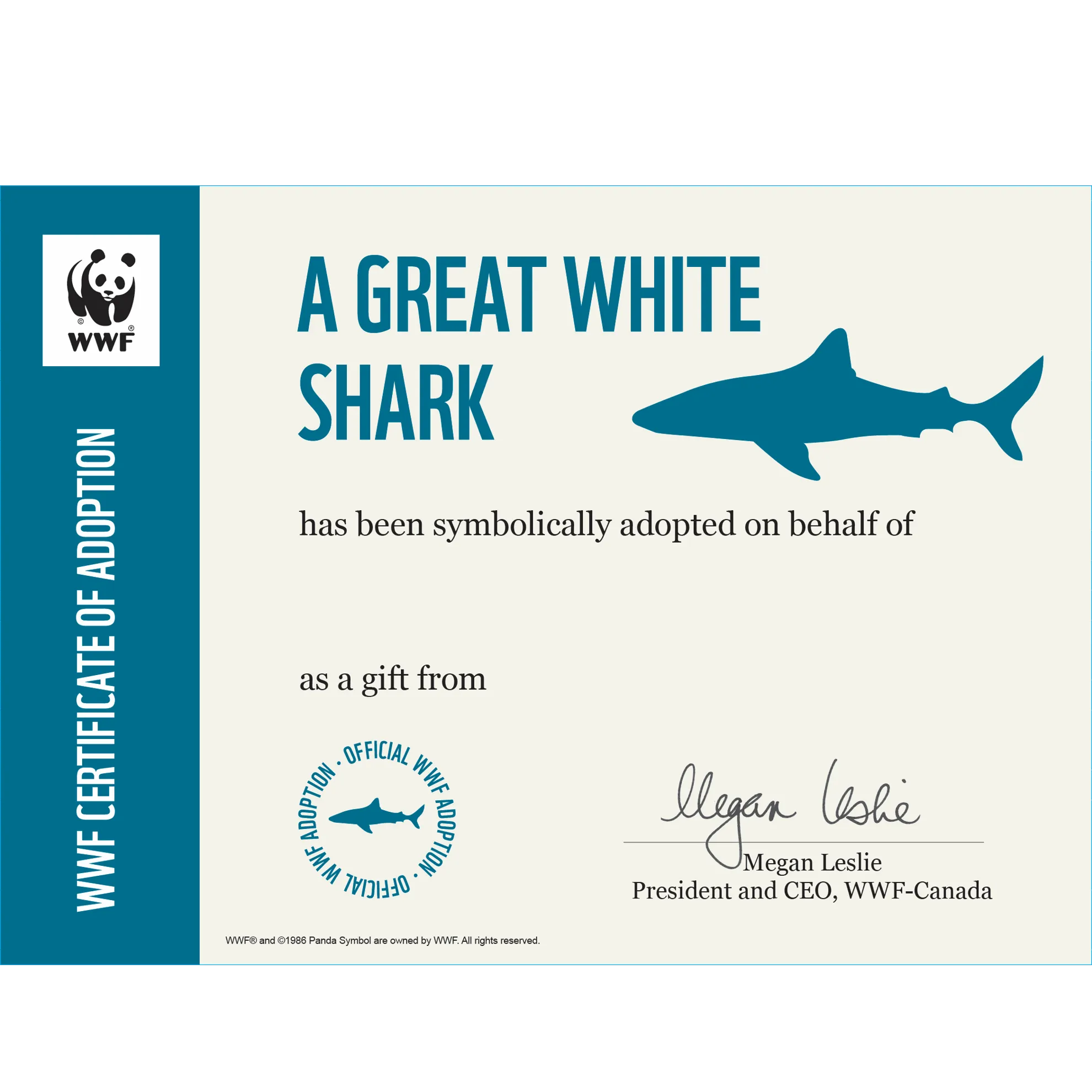 Great white shark