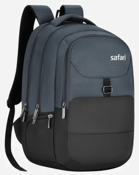 Safari Blink 2 (Grey)