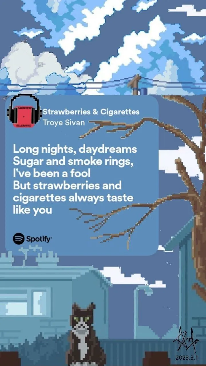 Troye Sivan Spotify Tote Bag