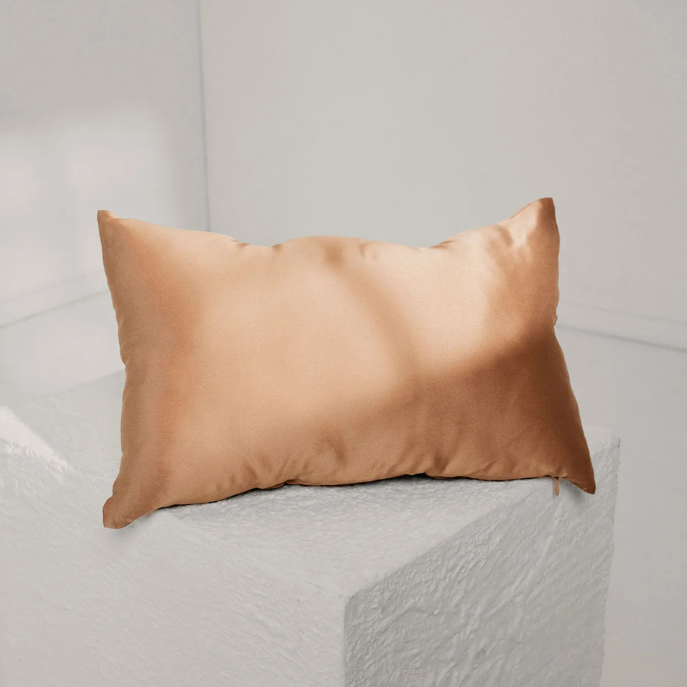 Washable Silk Travel Pillow